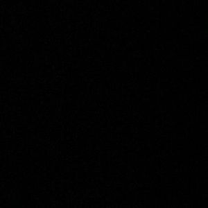 Meet your Posher, Nell